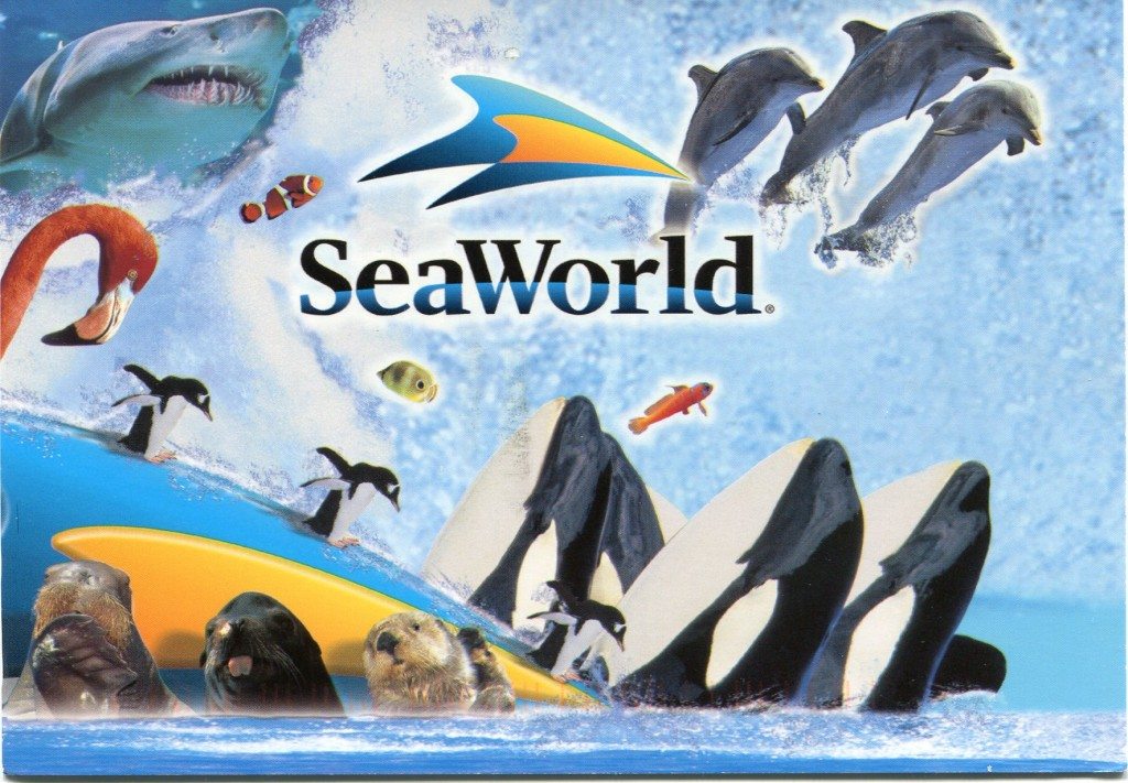 SeaWorld Commercial Men, Women & Kids